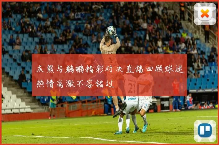 灰熊与鹈鹕精彩对决直播回顾球迷热情高涨不容错过