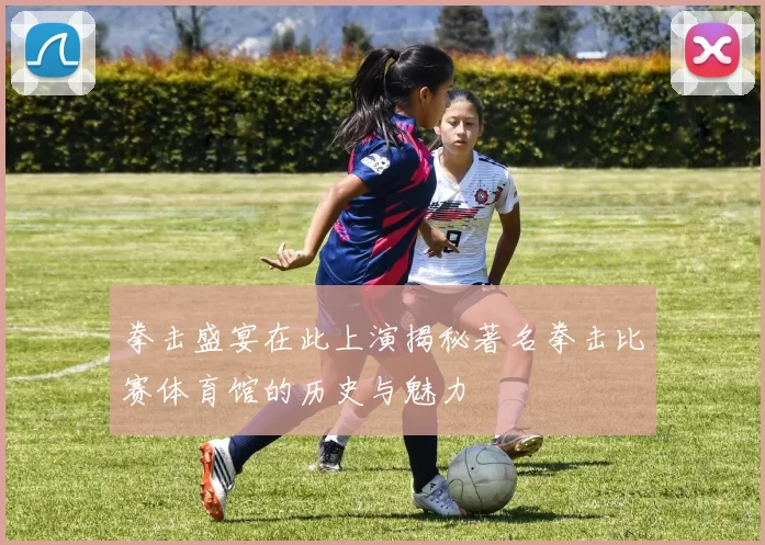 拳击盛宴在此上演揭秘著名拳击比赛体育馆的历史与魅力