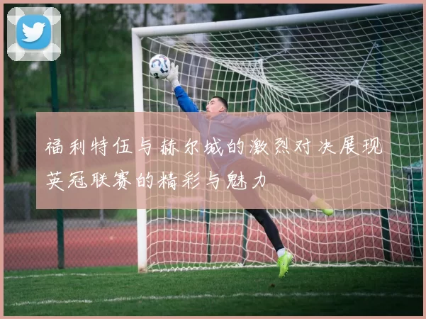 福利特伍与赫尔城的激烈对决展现英冠联赛的精彩与魅力